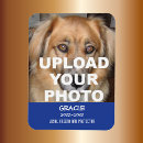 Search for cat magnets Keepsake