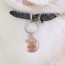 Search for rose gold pet tags Glitter