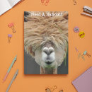 Search for hair salon postcards Professional