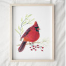 Search for cardinal bird art Nature