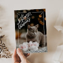 Search for funny cat jokes cards For pets