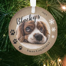 Search for dog ornaments snowflakes
