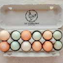 Search for egg stamps Handwritten