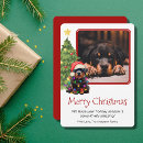 Search for rottweiler christmas cards Pet
