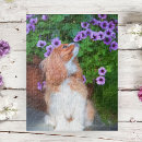 Search for cavalier king charles spaniel puzzles Nature