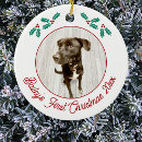 Search for dog ornaments Cute