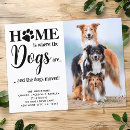 Search for dog moving announcement cards Pet