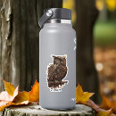 Search for steampunk stickers Owl