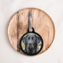 Search for photo pet tags Dogs