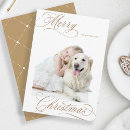 Search for gingerbread photo cards Modern