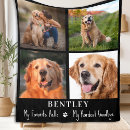 Search for pet photo blankets Remembrance