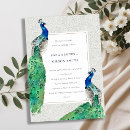 Search for peacock invitations Watercolor
