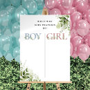 Search for gender reveal vote Pink or blue