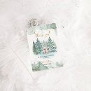 Search for polar bear cards Boy