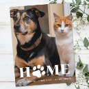 Search for paw invitations Dog lover