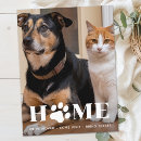 Search for paw invitations Change of address