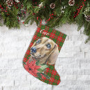 Search for dachshund christmas stockings Doxie
