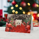 Search for friends holiday cards Cat