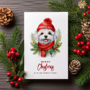 Search for maltese christmas cards Happy pawlidays