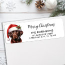 Search for labrador return address labels Cute puppy