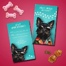 Search for veterinarian appointment cards Animal care