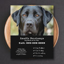Search for pet sitter flyers Groomer