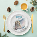 Search for seal paper plates 1st birthday