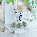 Search for tropical numbers table cards Minimalist