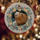 Search for pig ornaments Cute