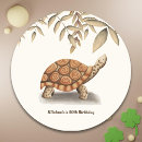 Search for turtle labels Elegant