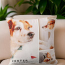 Search for pet memorial pillows Forever in our hearts