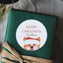 Search for corgi stickers Merry christmas