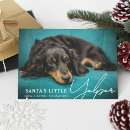 Search for dog holiday cards Happy howlidays