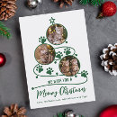 Search for cat photo christmas cards Green