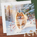Search for pomeranian christmas cards Dog breed