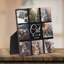 Search for cat memorial gifts Bereavement
