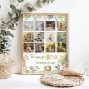 Search for one wild year Safari