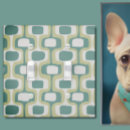 Search for sage green light switch covers Modern