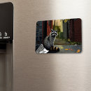 Search for trash magnets Animal