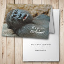 Search for funny gorilla birthday cards Animal
