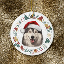 Search for alaskan malamute ornaments Animal