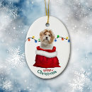 Search for shih tzu ornaments Animal