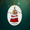 Search for cavalier king charles spaniel ornaments Animal