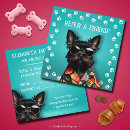 Search for pet sitting marketing materials Dog