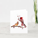 Search for cardinal note cards Winter