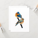 Search for bluebird cards Watercolor