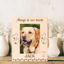 Search for pet picture frames Sympathy
