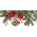 Search for unusual ornaments Unique