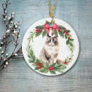 Search for ragdoll cat ornaments Animal