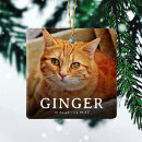 Search for pet memorial ornaments Sympathy